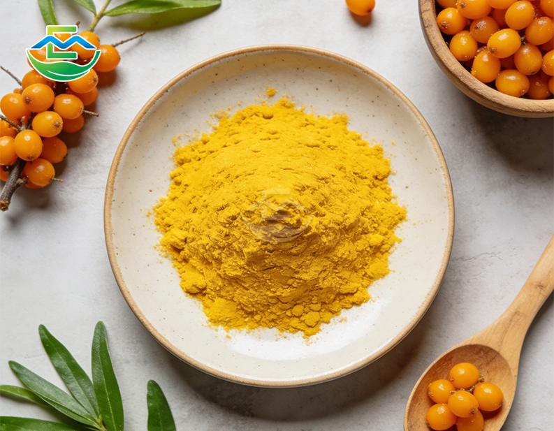 Sea Buckthorn fruit Powder